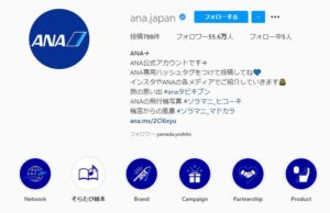 インスタグラムTOP写真 No.001 今日の一押しサイト ANA|ナノサイズの呟き Webサイト100選