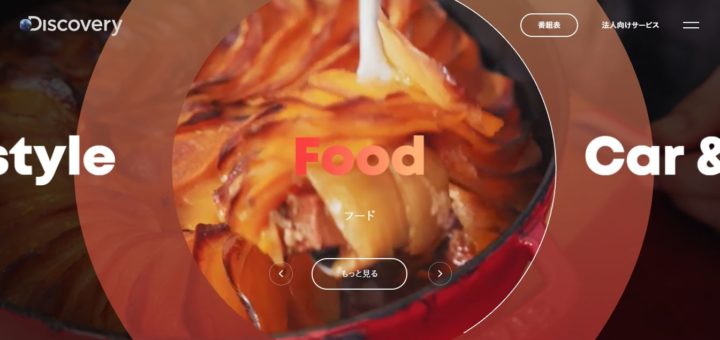 Discovery JAPAN　No.008 今日の一押しサイ｜ナノサイズの呟き　Webサイト100選