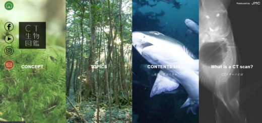 CT生物図鑑　No.014 今日の一押しサイト｜ナノサイズの呟き　Webサイト100選