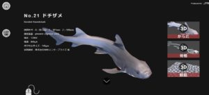 CT生物図鑑 No.014 今日の一押しサイト|ナノサイズの呟き Webサイト100選